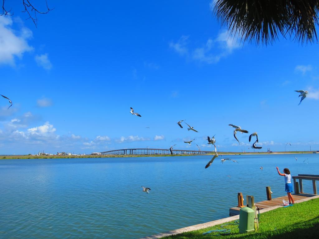 Multi Resorts At Puente Vista Corpus Christi Eksteriør bilde